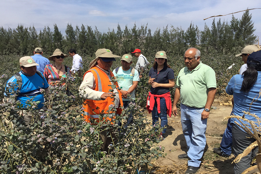 De vruchten van sociale dialoog in Peru