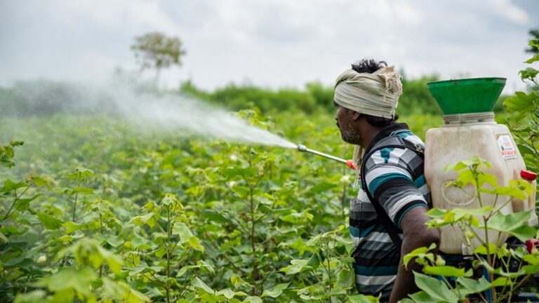 Clean Crops, Safe Workers: United for Healthy, Sustainable Supply Chains