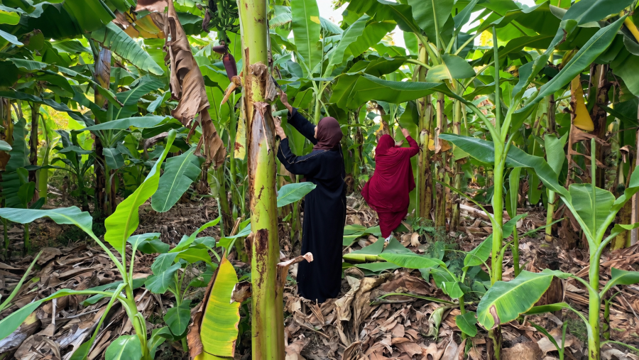 Vrouwelijke landarbeiders in Jordanië krijgen een sterkere stem